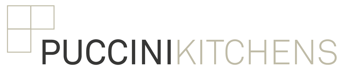 puccini-logo-full-colour_Horiz_TBG_V2 (1)